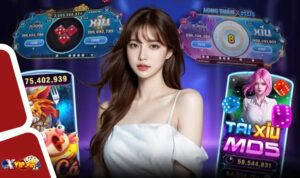 Bật mí quá trình cấp giấy phép Xvip