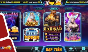 Cách khắc phục lỗi không vào được Xvip hiệu quả