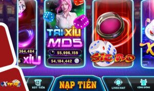 Thực hiện đúng quy trình đăng ký sẽ giúp anh chị em sớm trở thành đại lý của Xvip