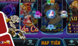 Xvip hiện đang triển khai nhiều mã code dành cho mọi hội viên