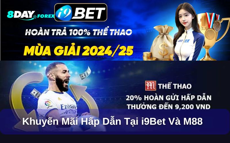Khuyến mãi và ưu đãi thành viên mới theo phân tích từ 8day
