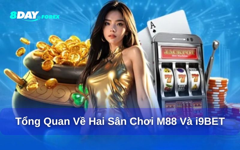 Tổng quan dịch vụ chăm sóc khách hàng của M88 và i9Bet