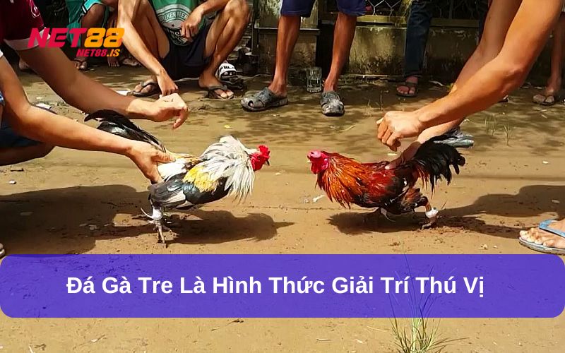 Giới thiệu về trò chơi Đá gà tre